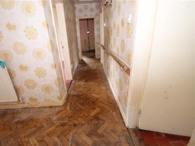 Picture 13